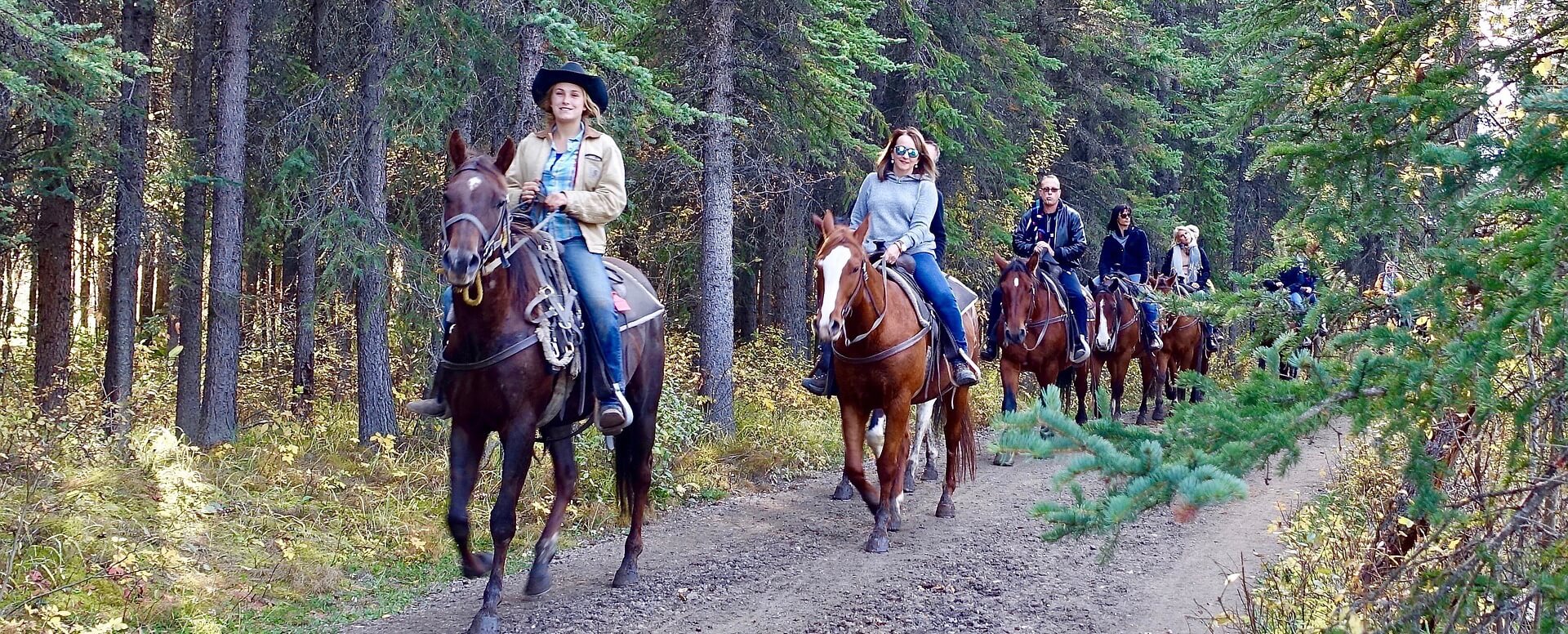 8. Paseo a caballo - Cerdeña